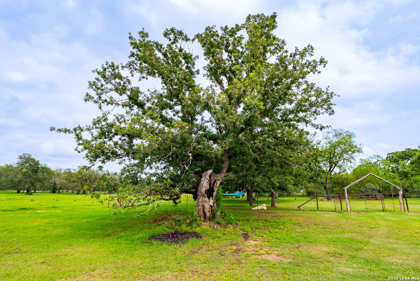 main property photo 46