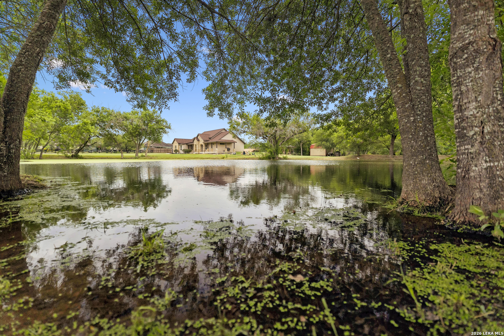 main property photo 43
