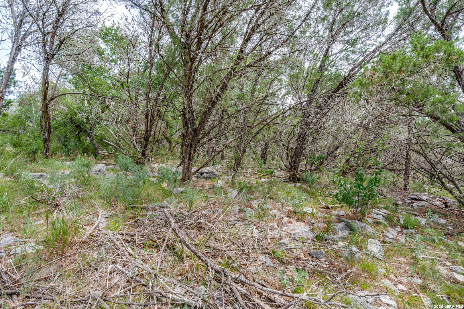 main property photo 11