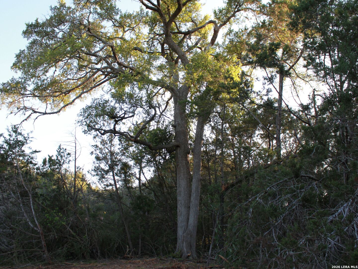 main property photo 25