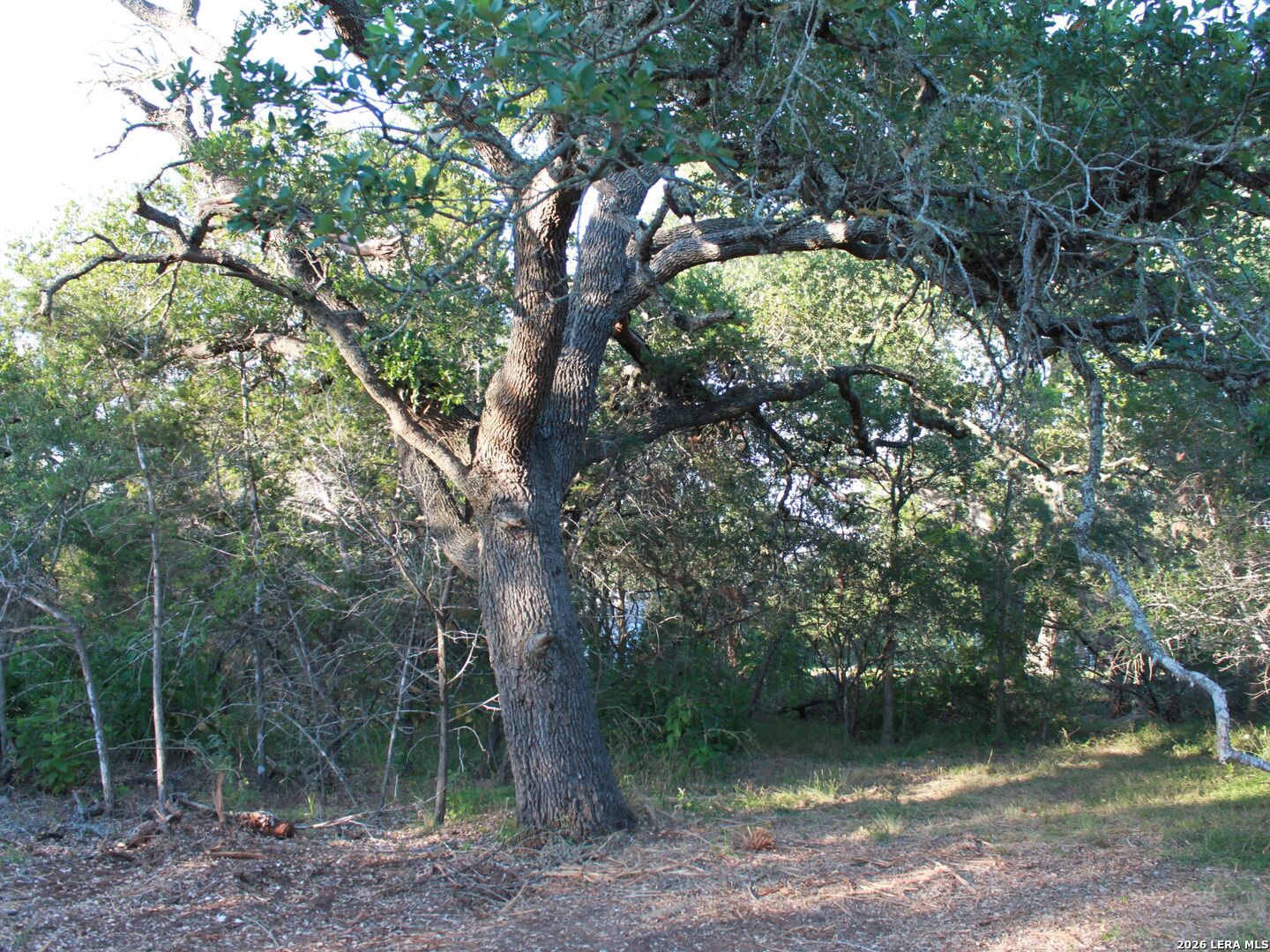 main property photo 26
