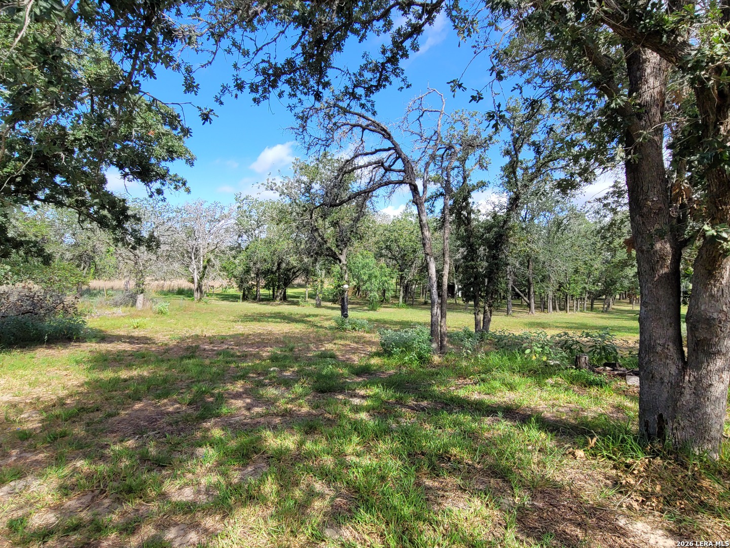 main property photo 42
