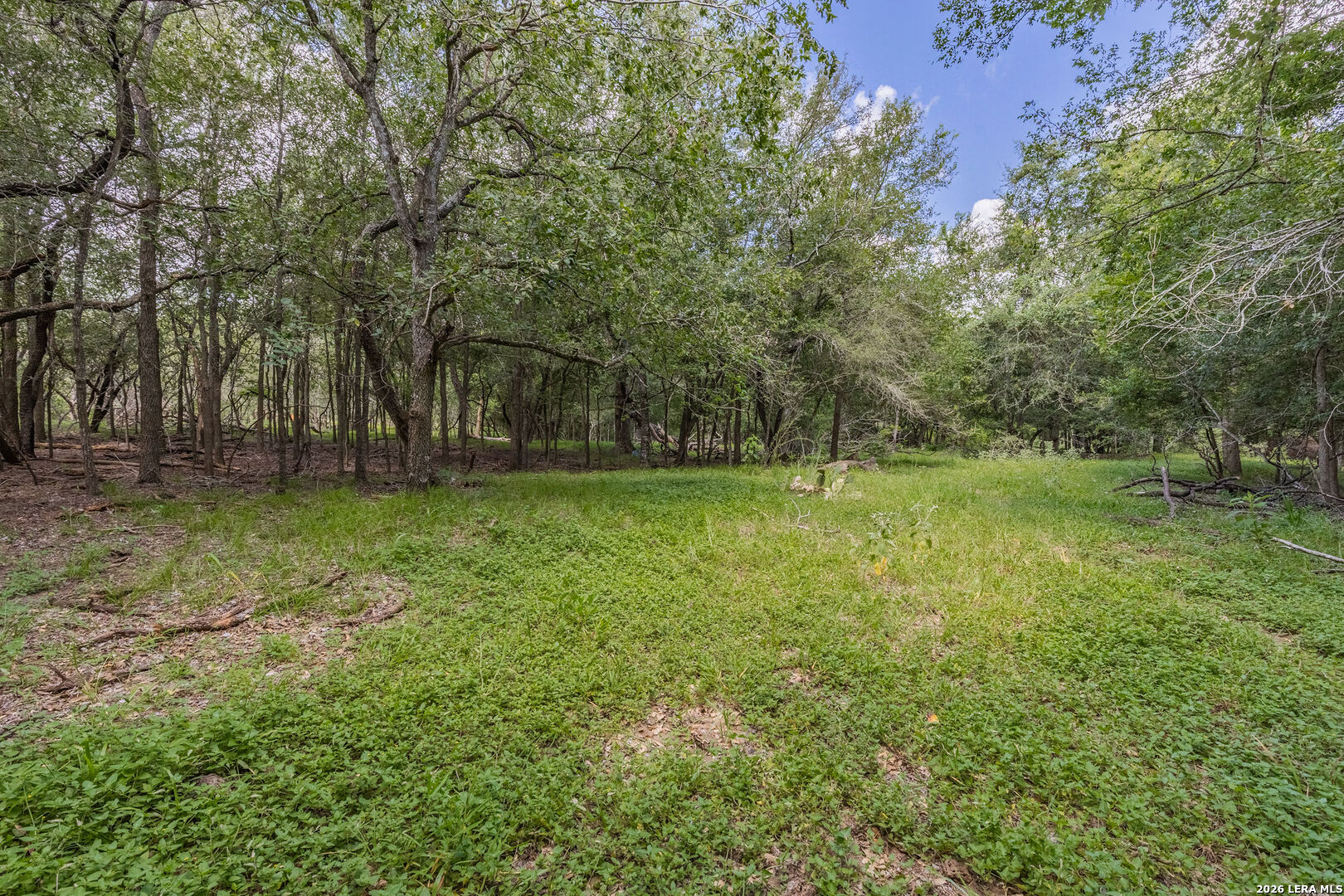 main property photo 9