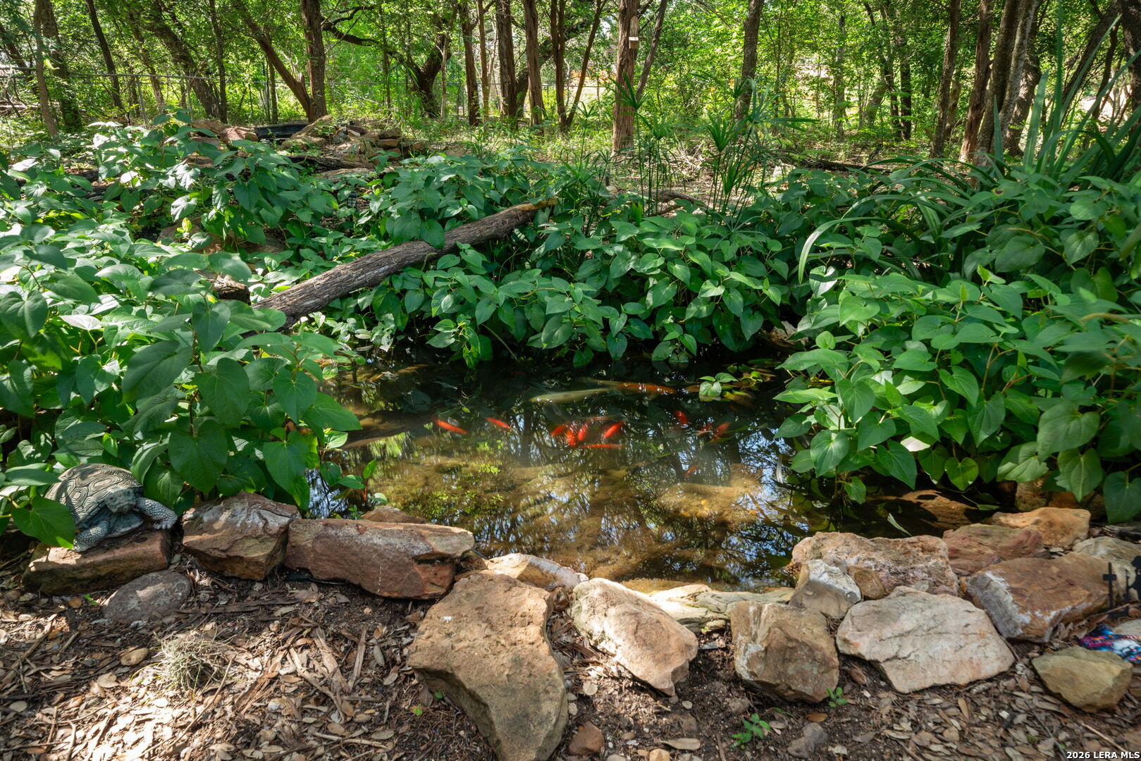 main property photo 45