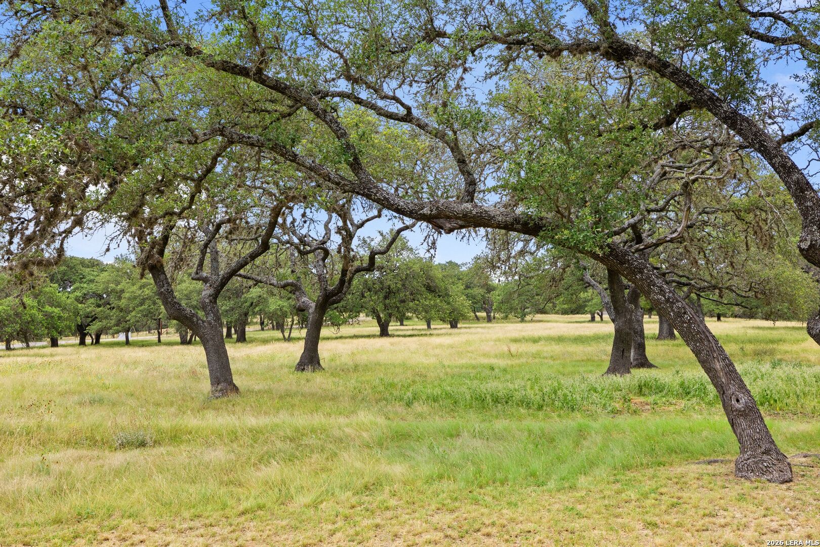 main property photo 45