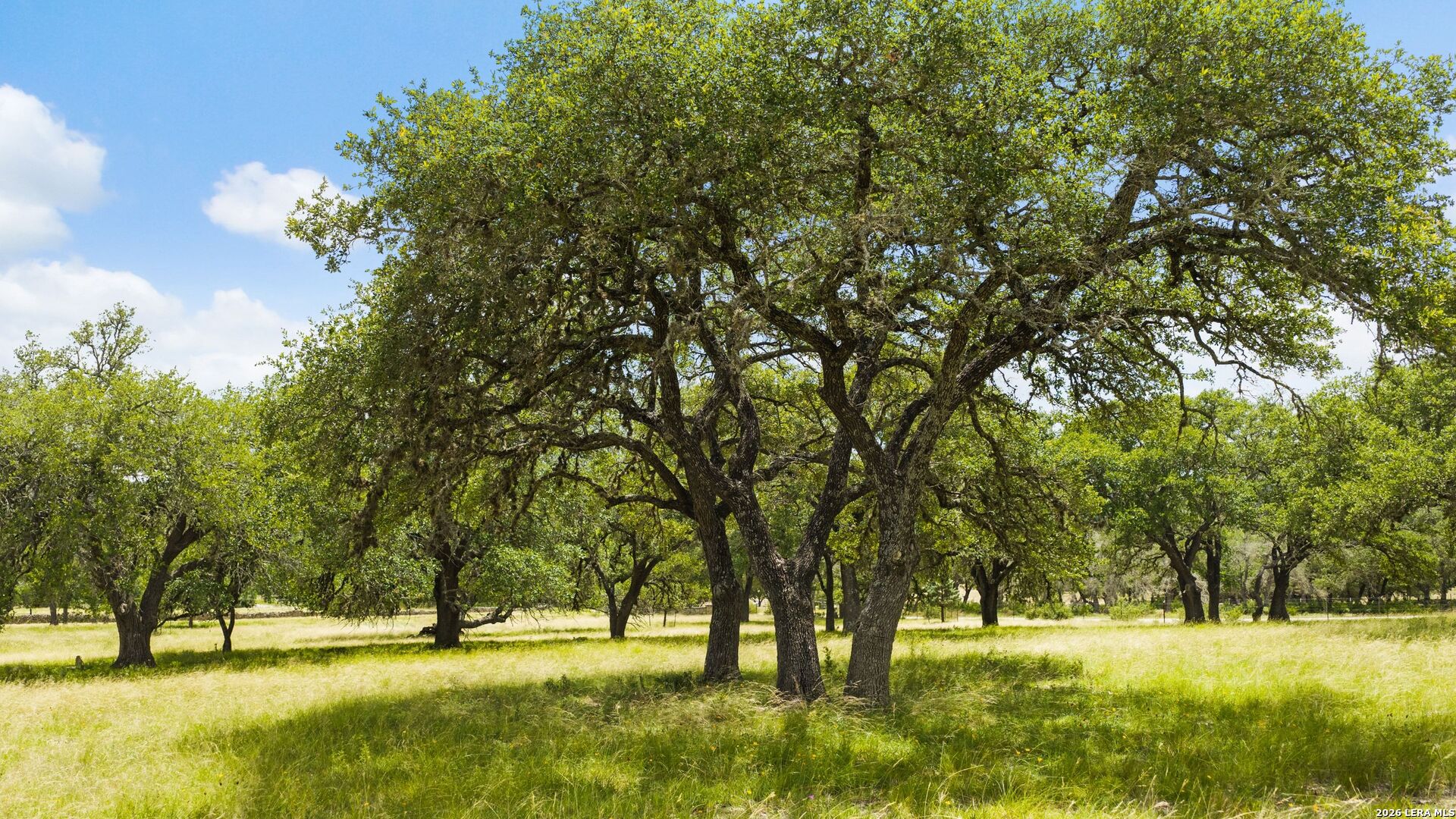 main property photo 61