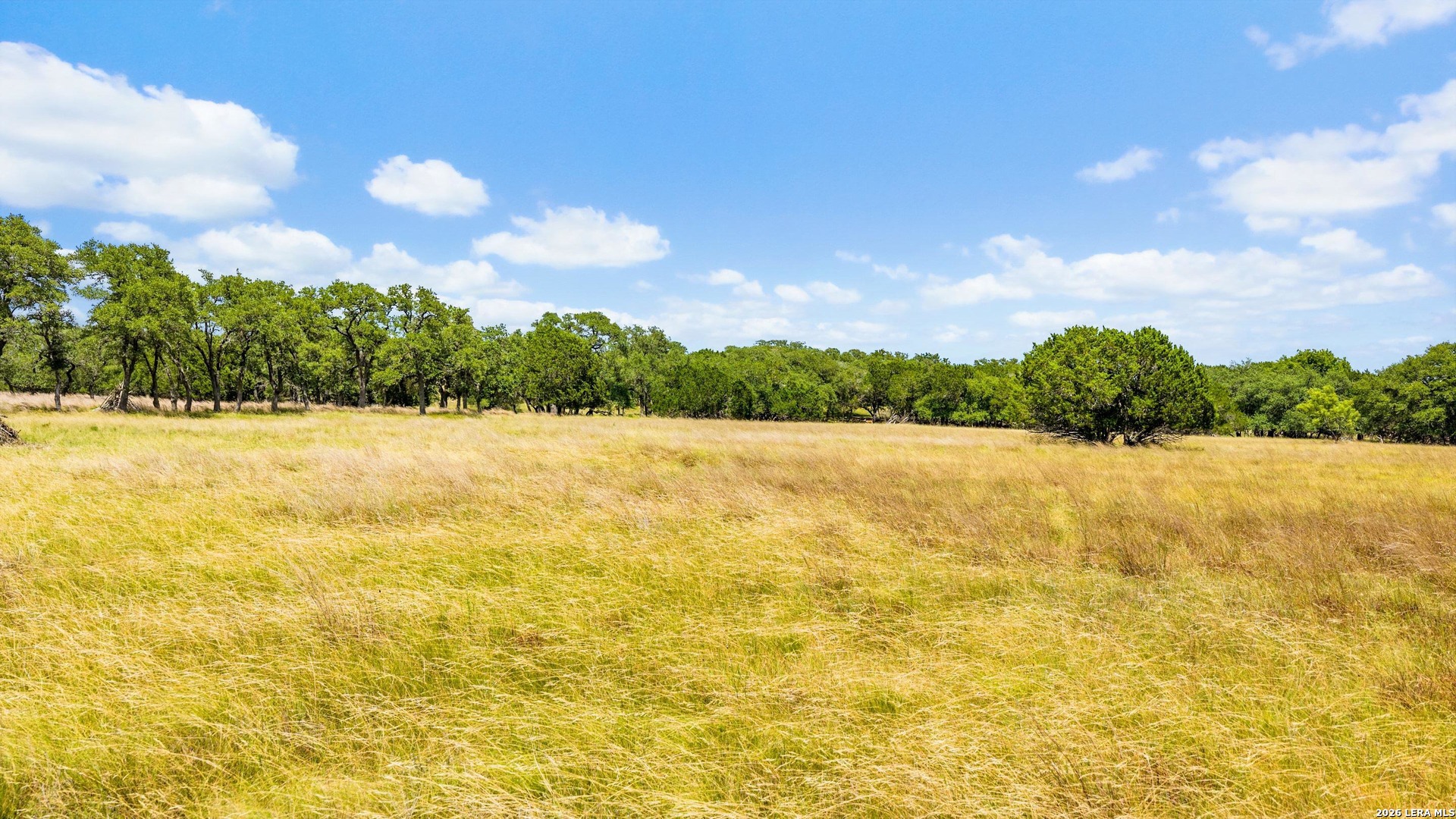 main property photo 71