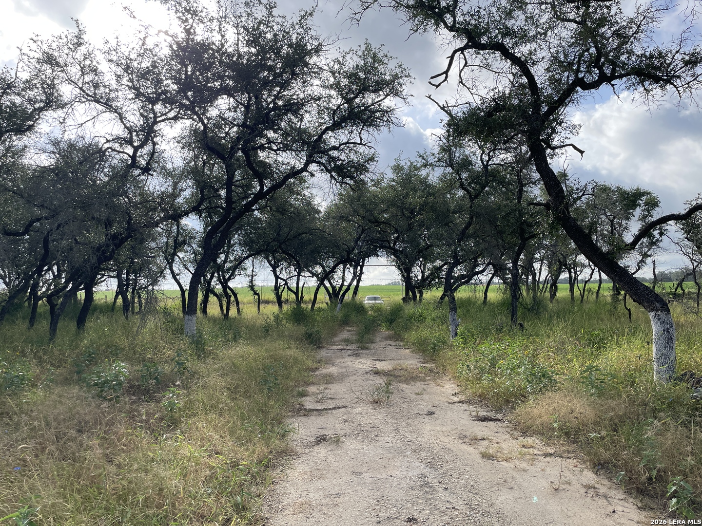 main property photo 11
