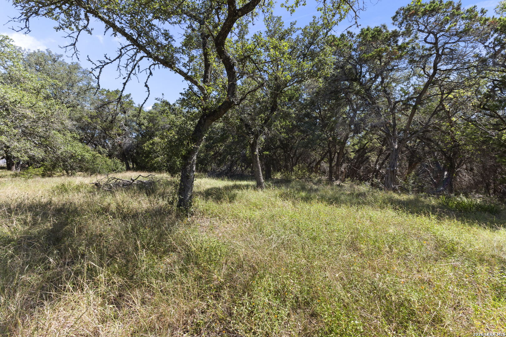 main property photo 38