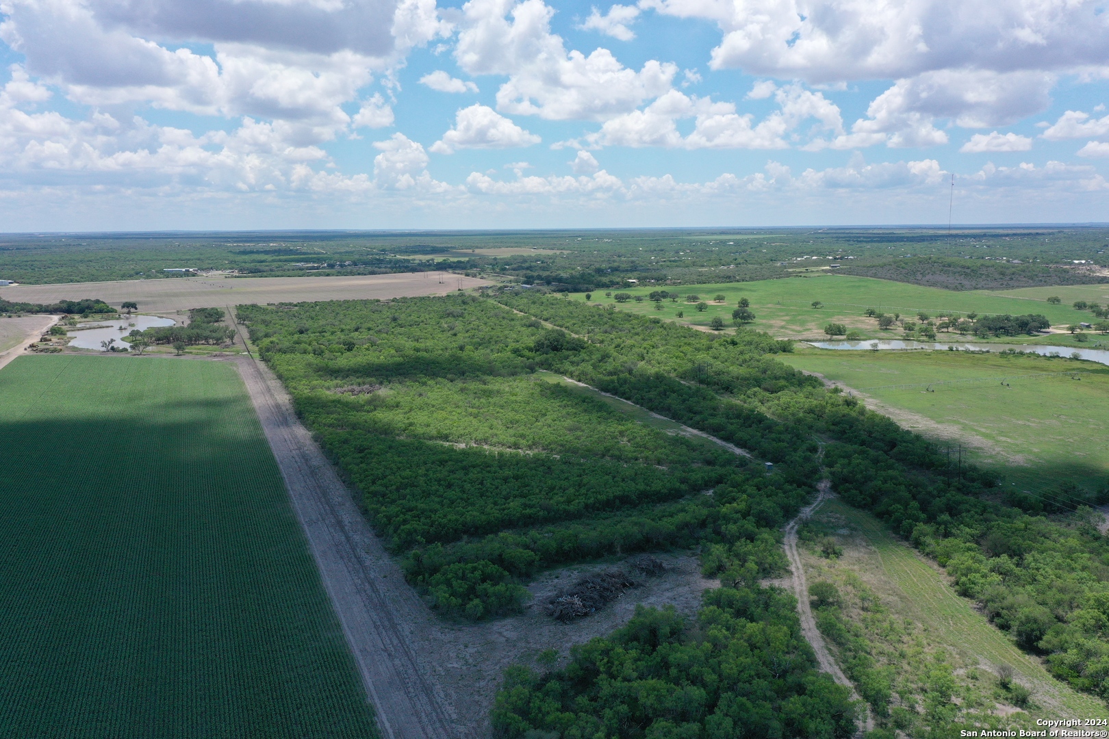 main property photo 13