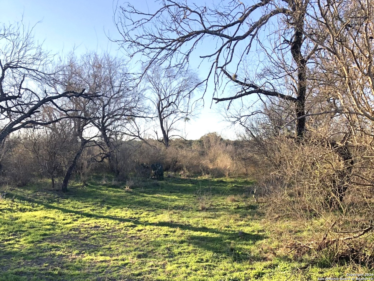 main property photo 9