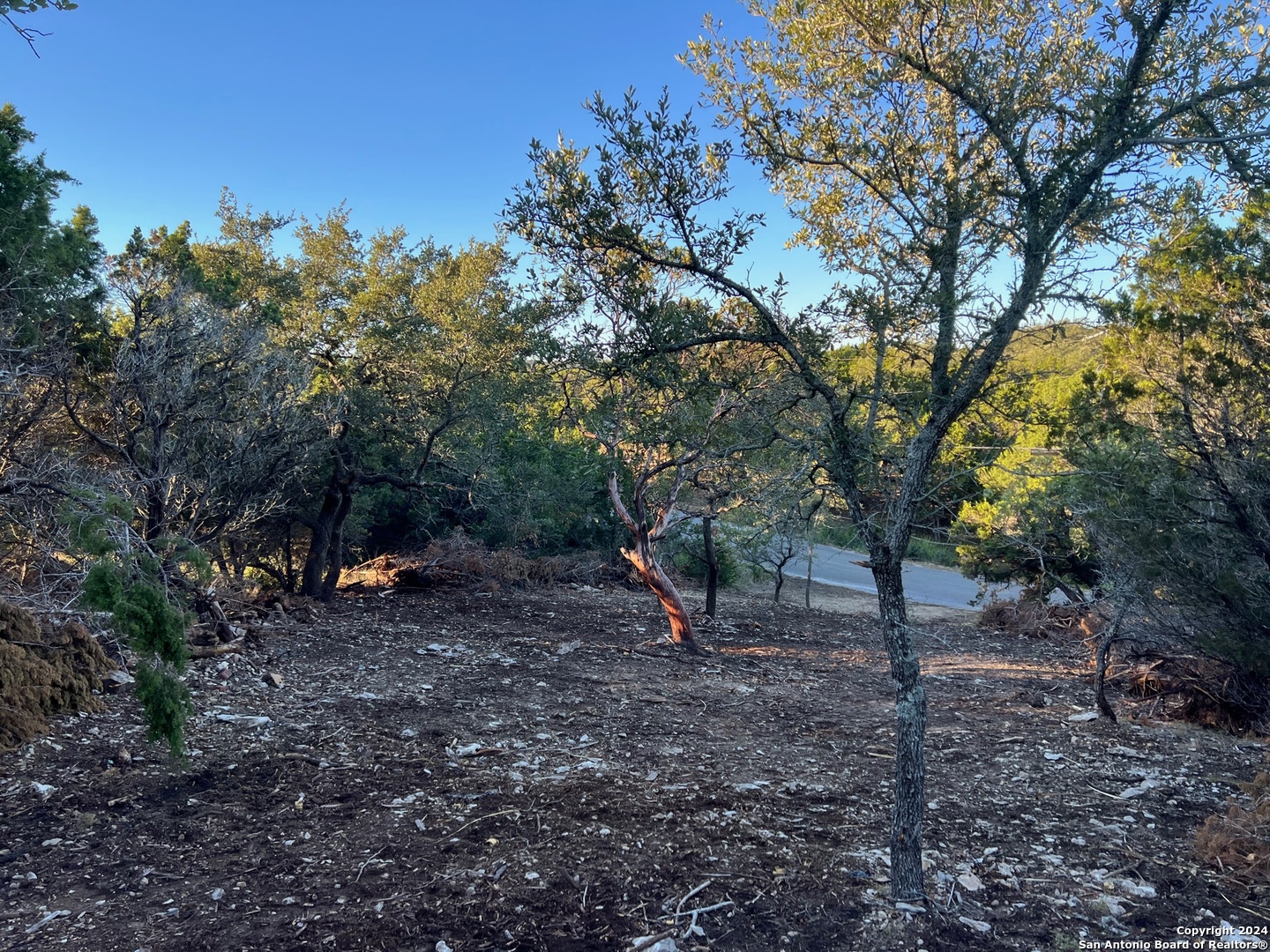 main property photo 4