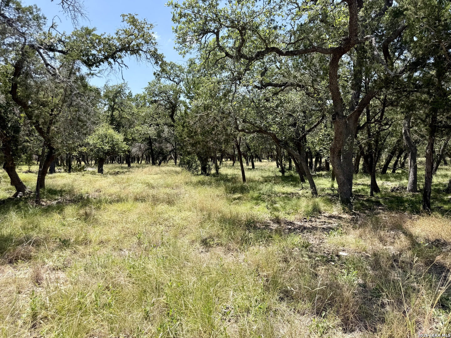 main property photo 37