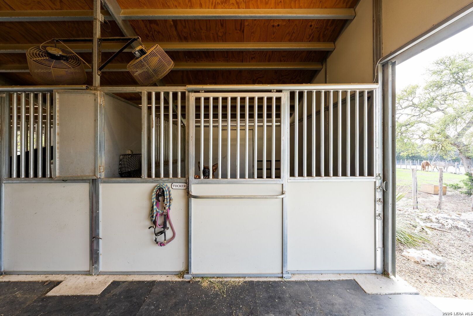 main property photo 57
