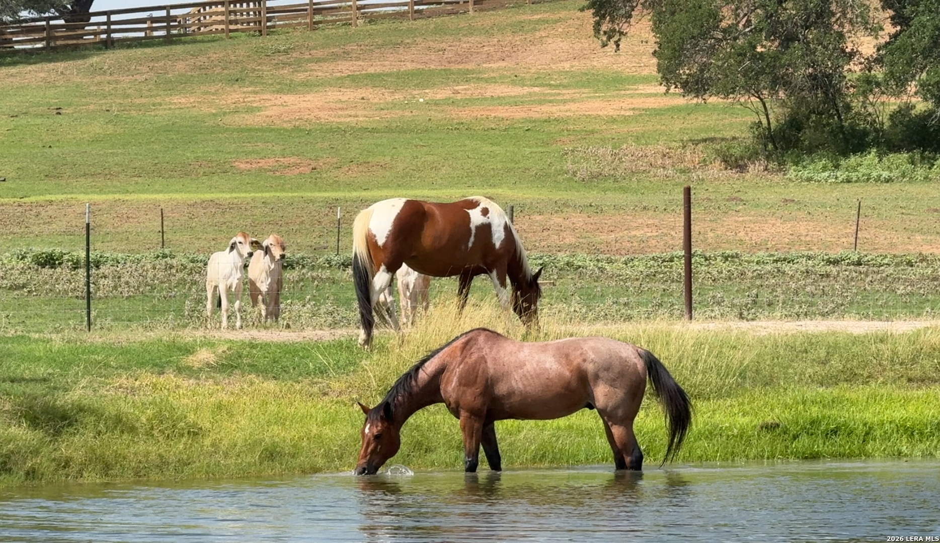 main property photo 66
