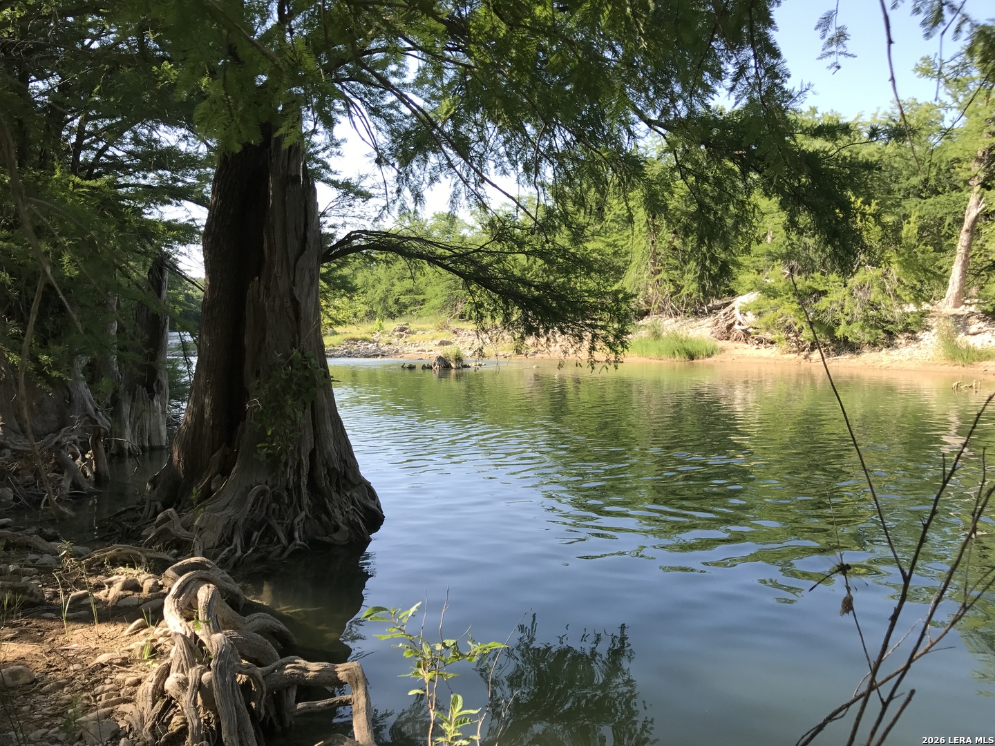 main property photo 39