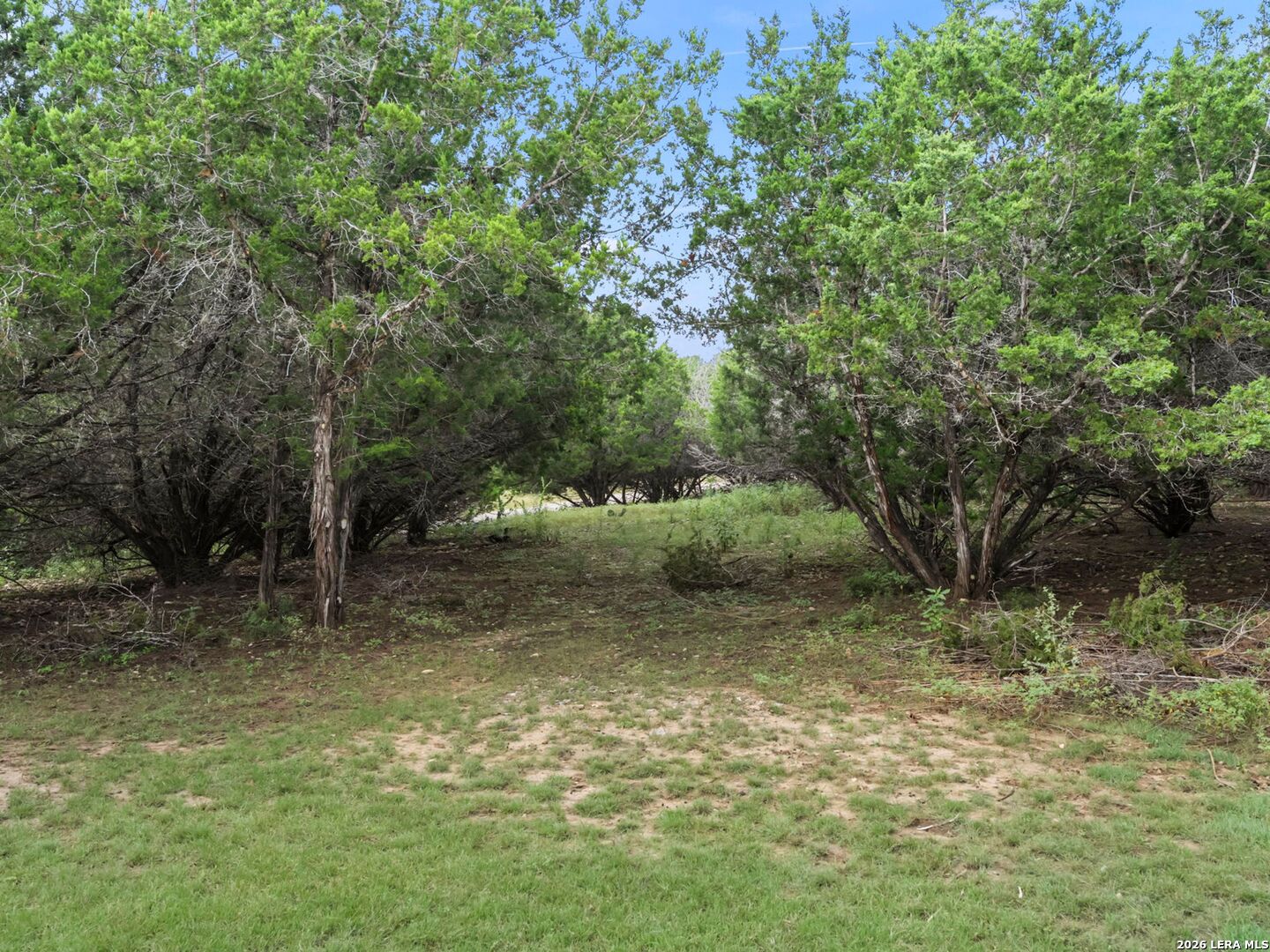 main property photo 43
