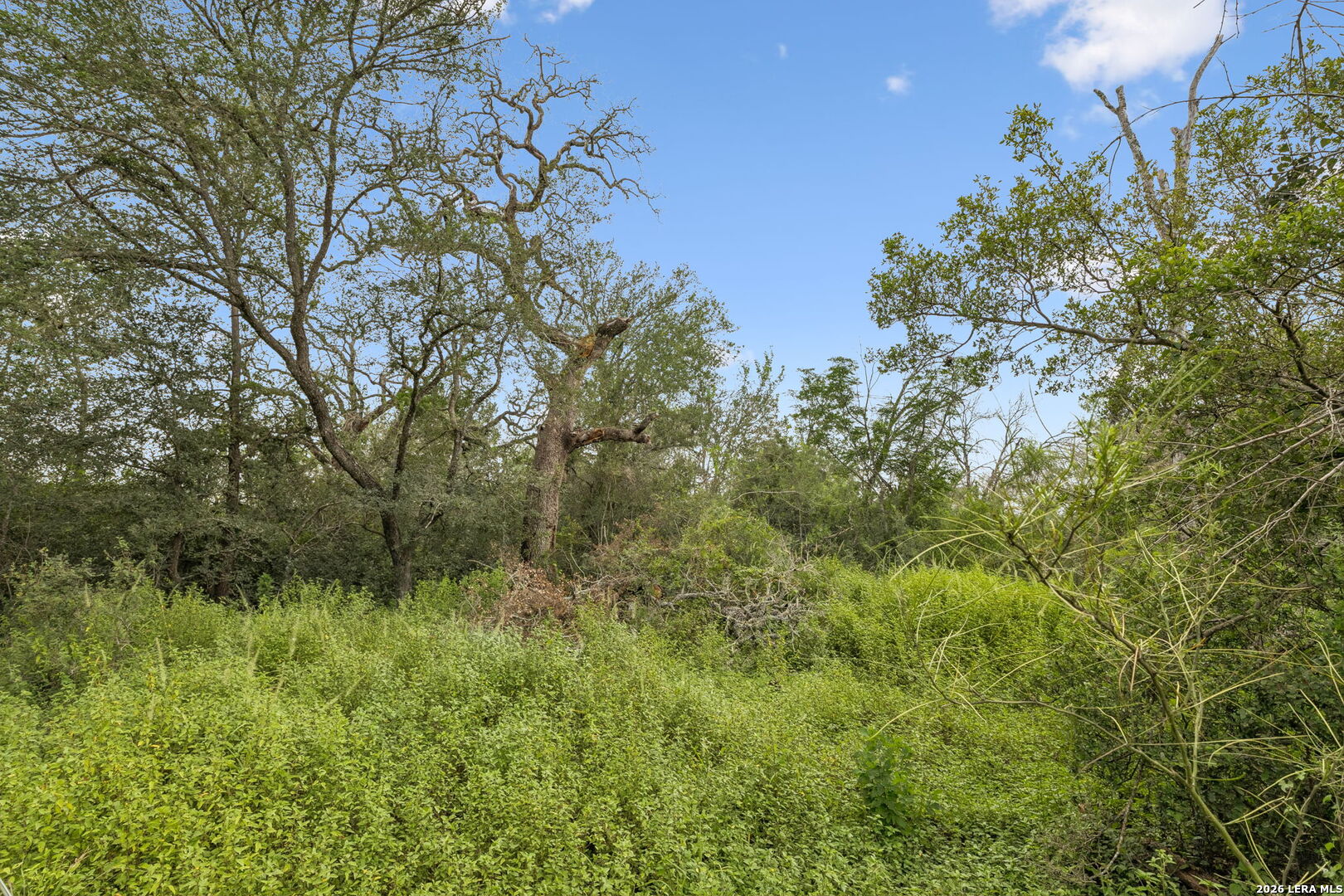 main property photo 10