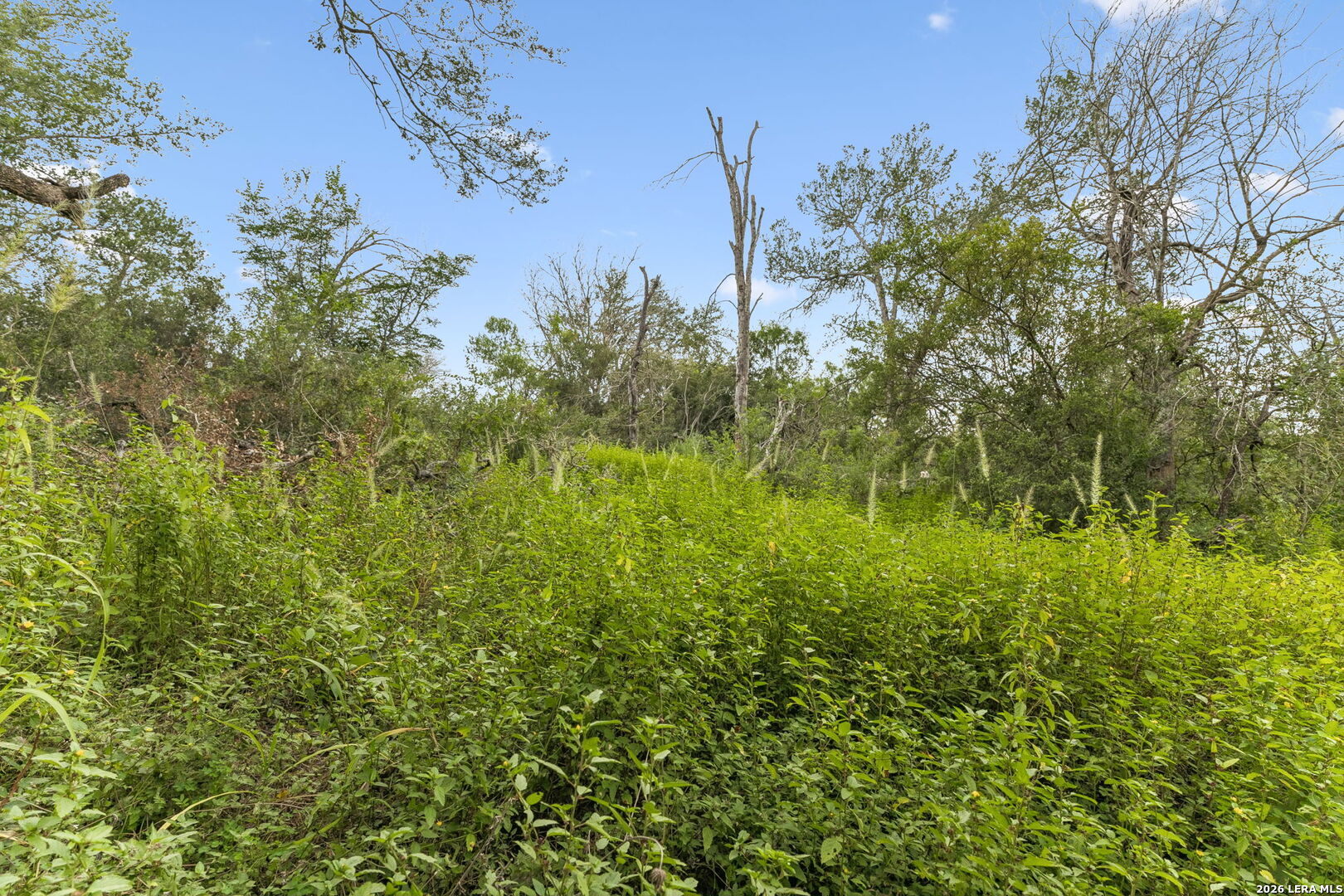 main property photo 12