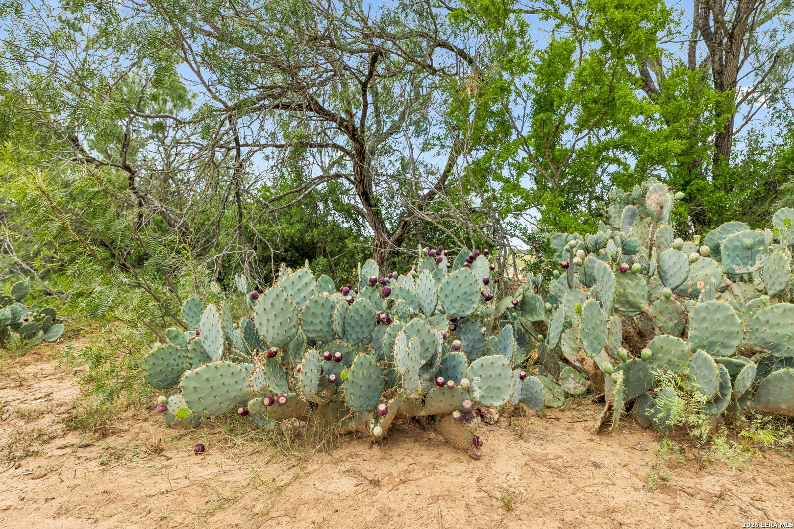 main property photo 18