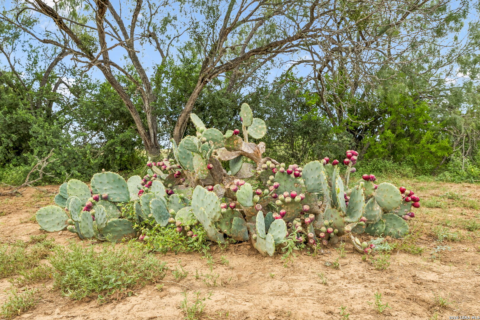 main property photo 19