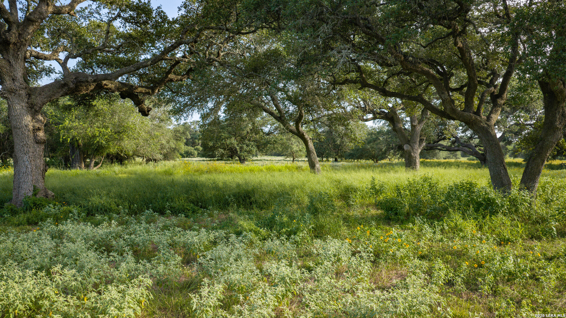 main property photo 36