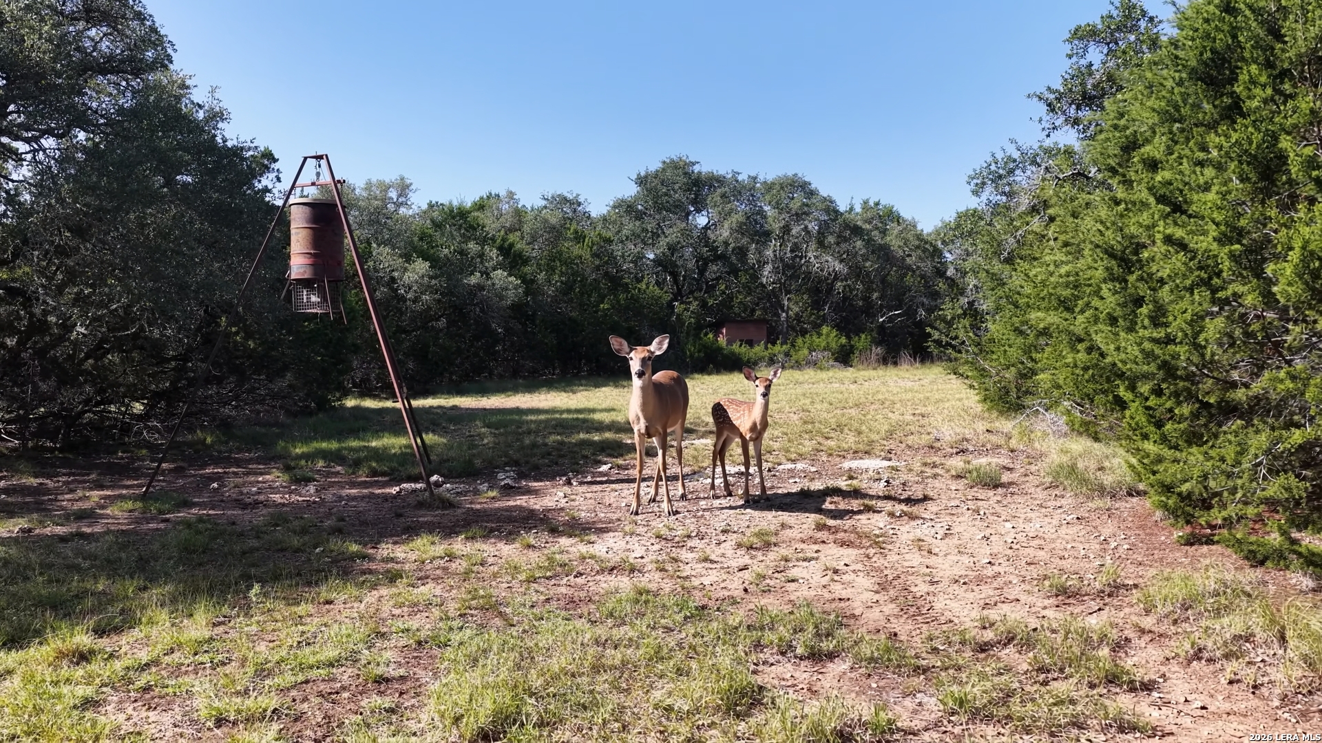 main property photo 49