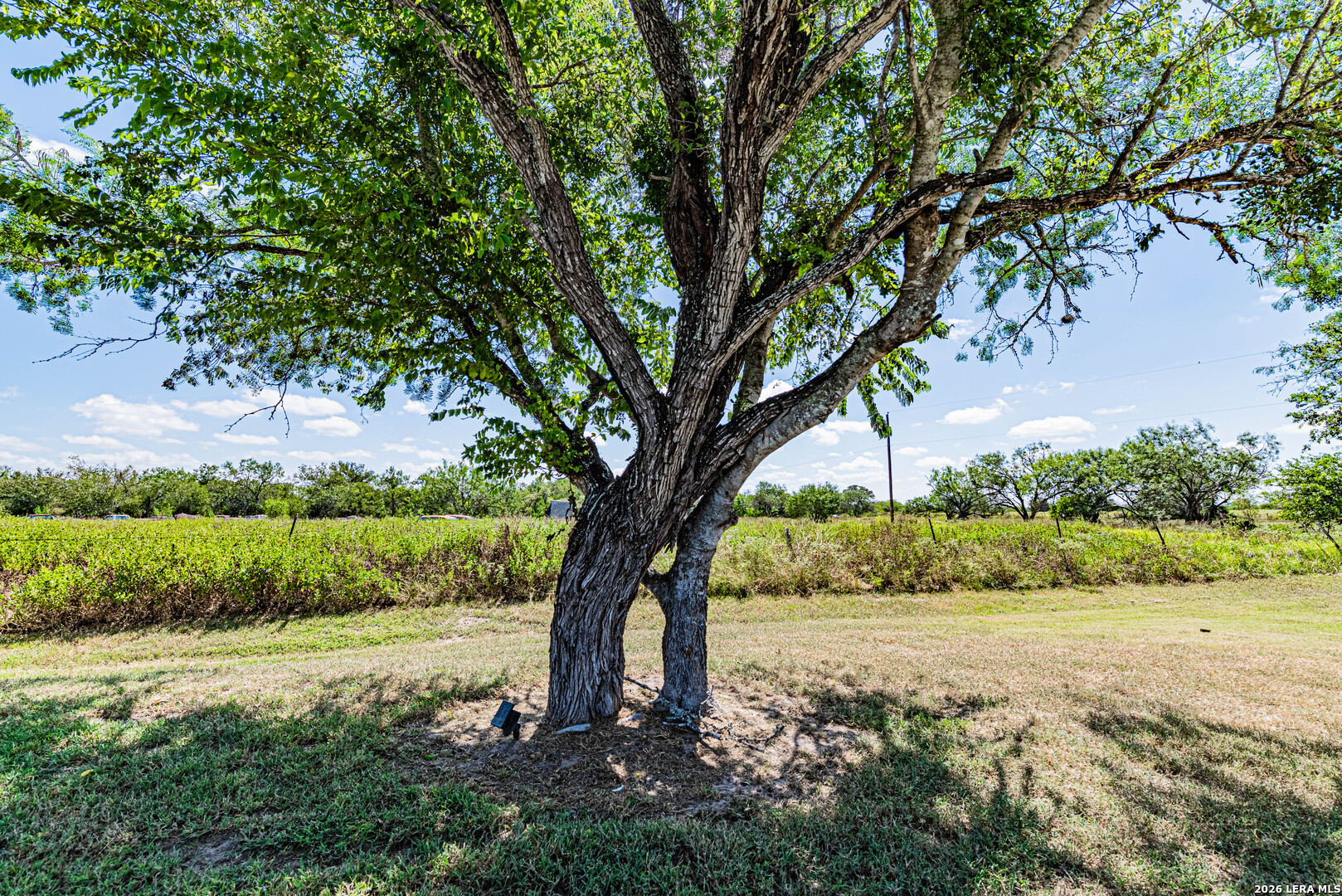 main property photo 75