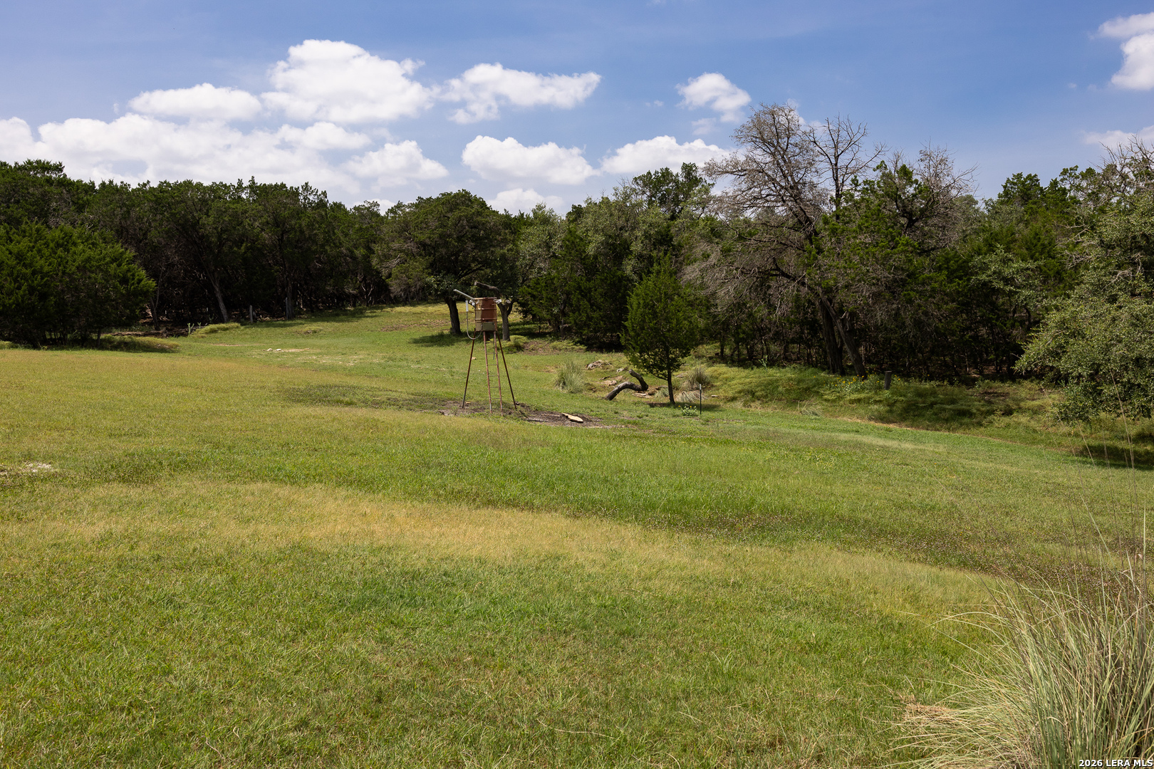 main property photo 55