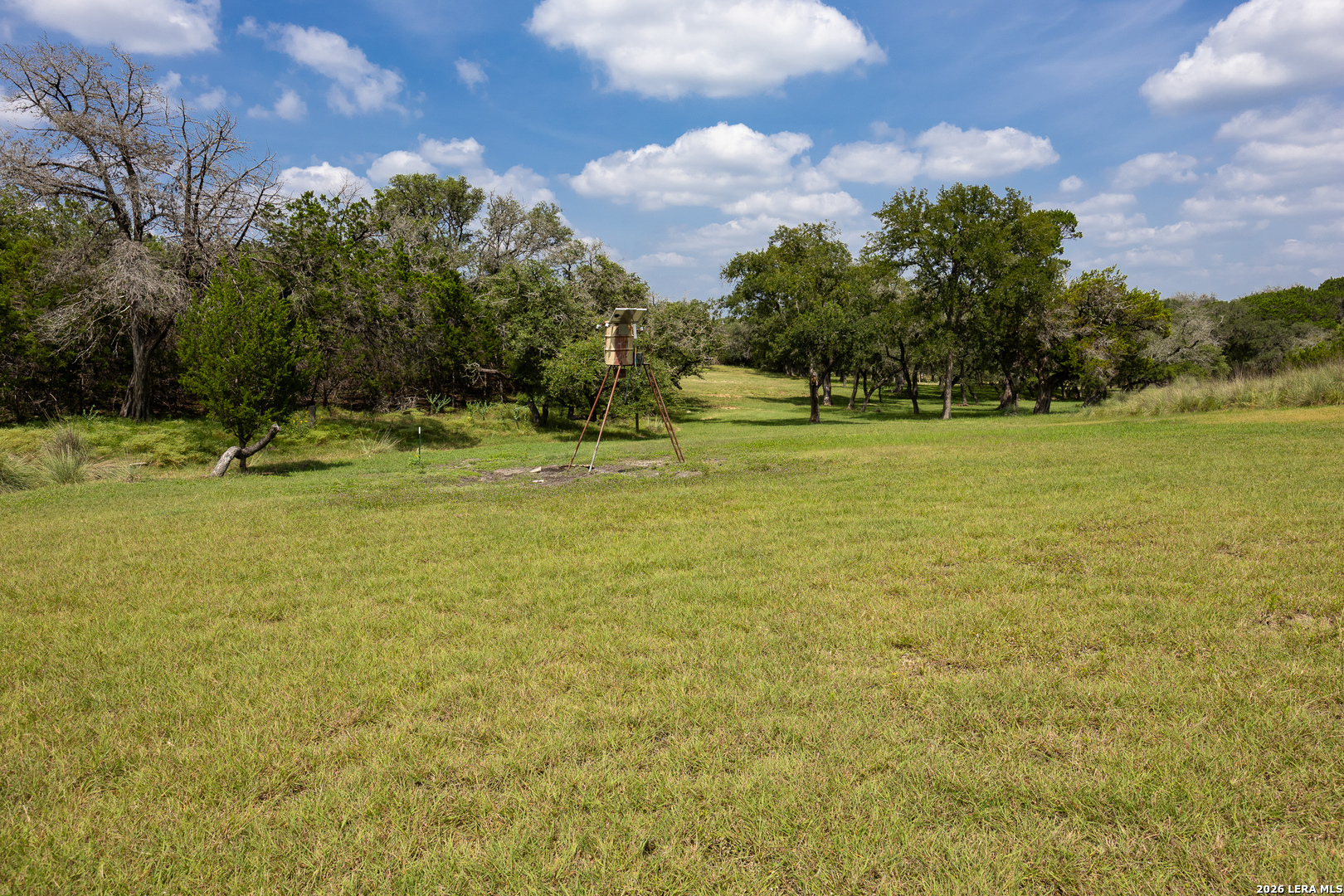 main property photo 59