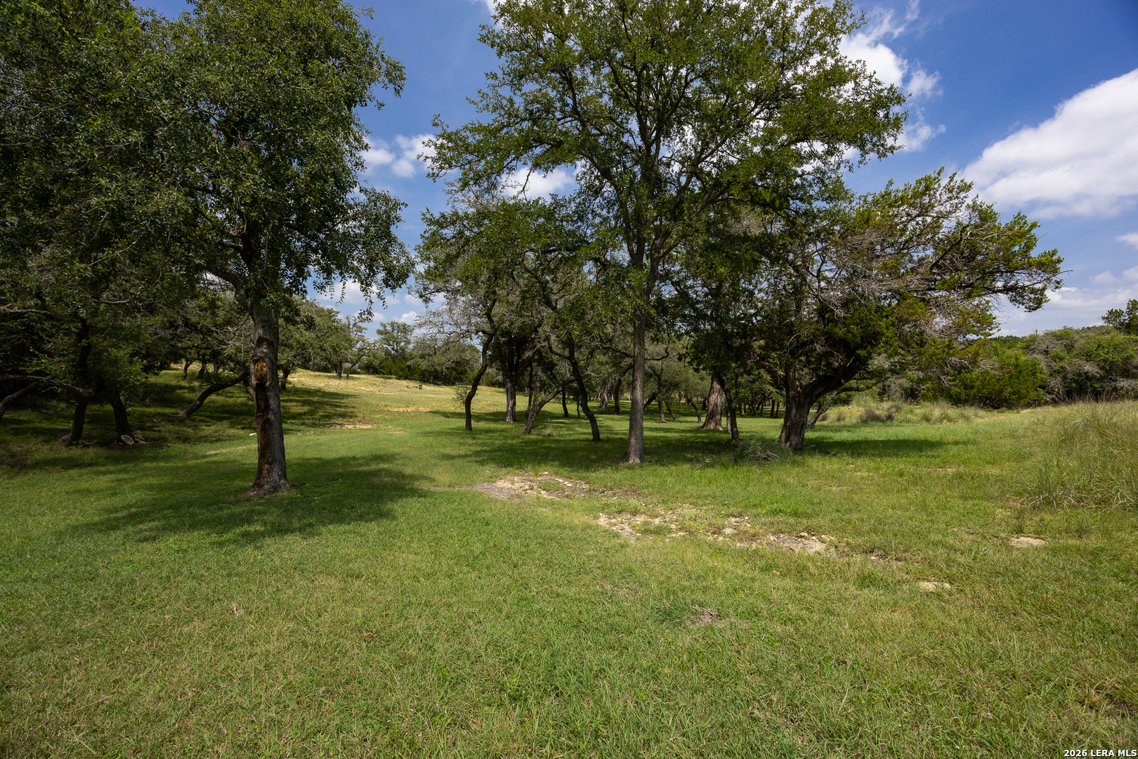main property photo 71
