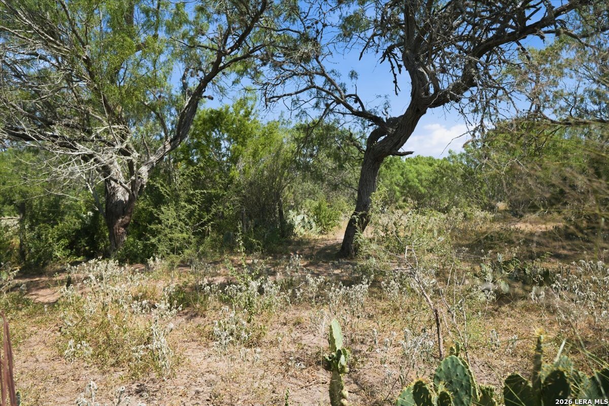 main property photo 37