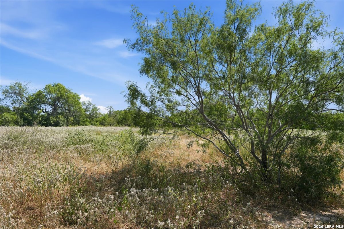 main property photo 38