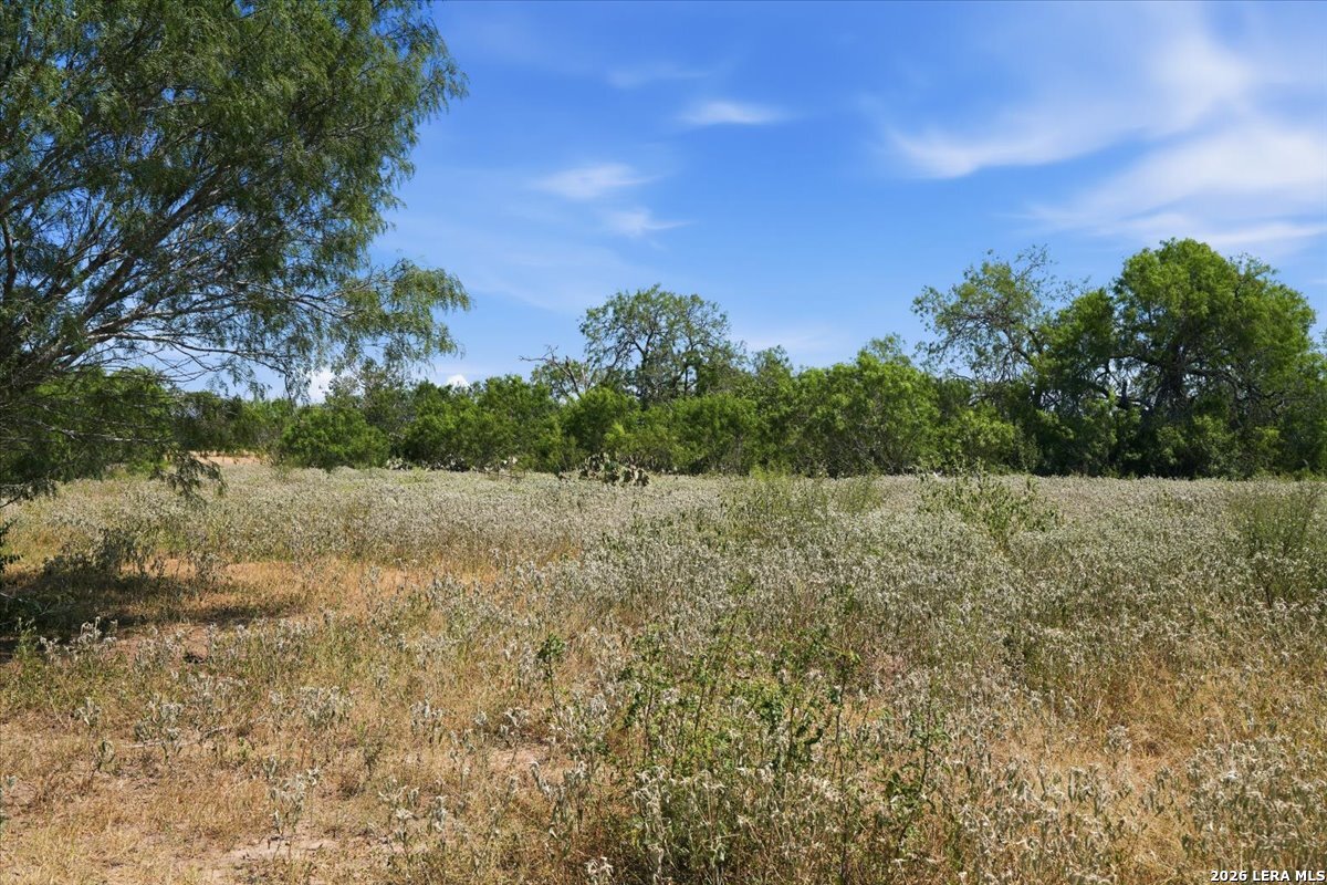 main property photo 39