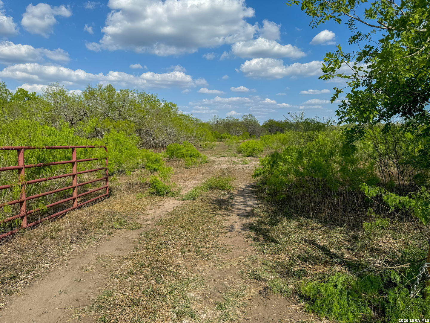 main property photo 19