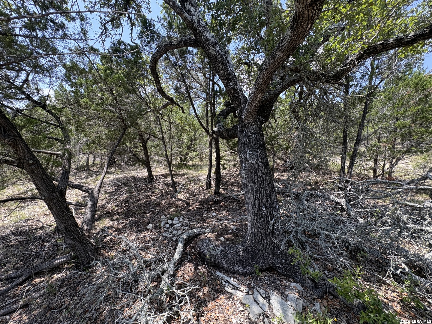 main property photo 11