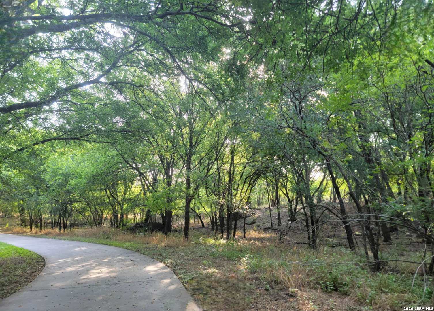 main property photo 42