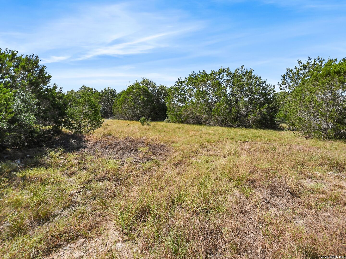 main property photo 56