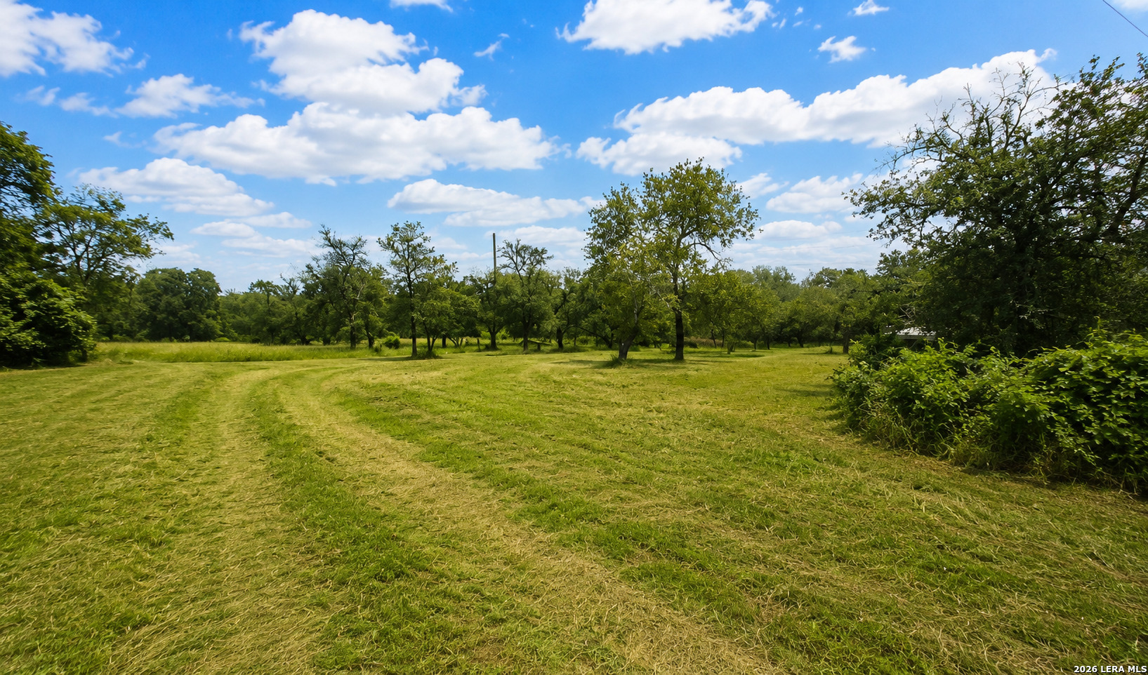main property photo 30