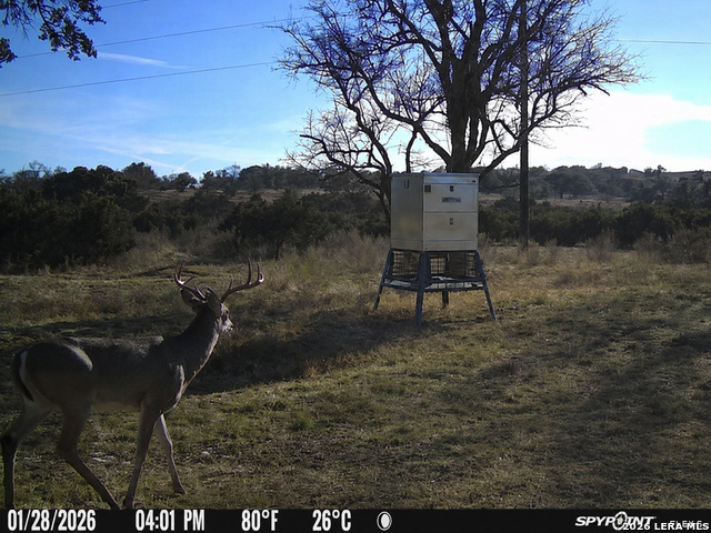main property photo 40