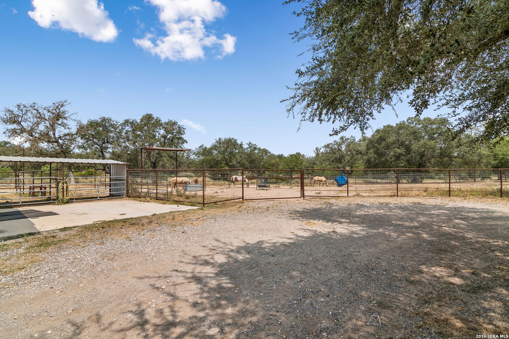 main property photo 41