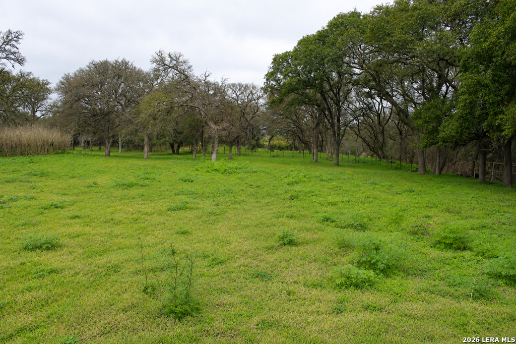 main property photo 53