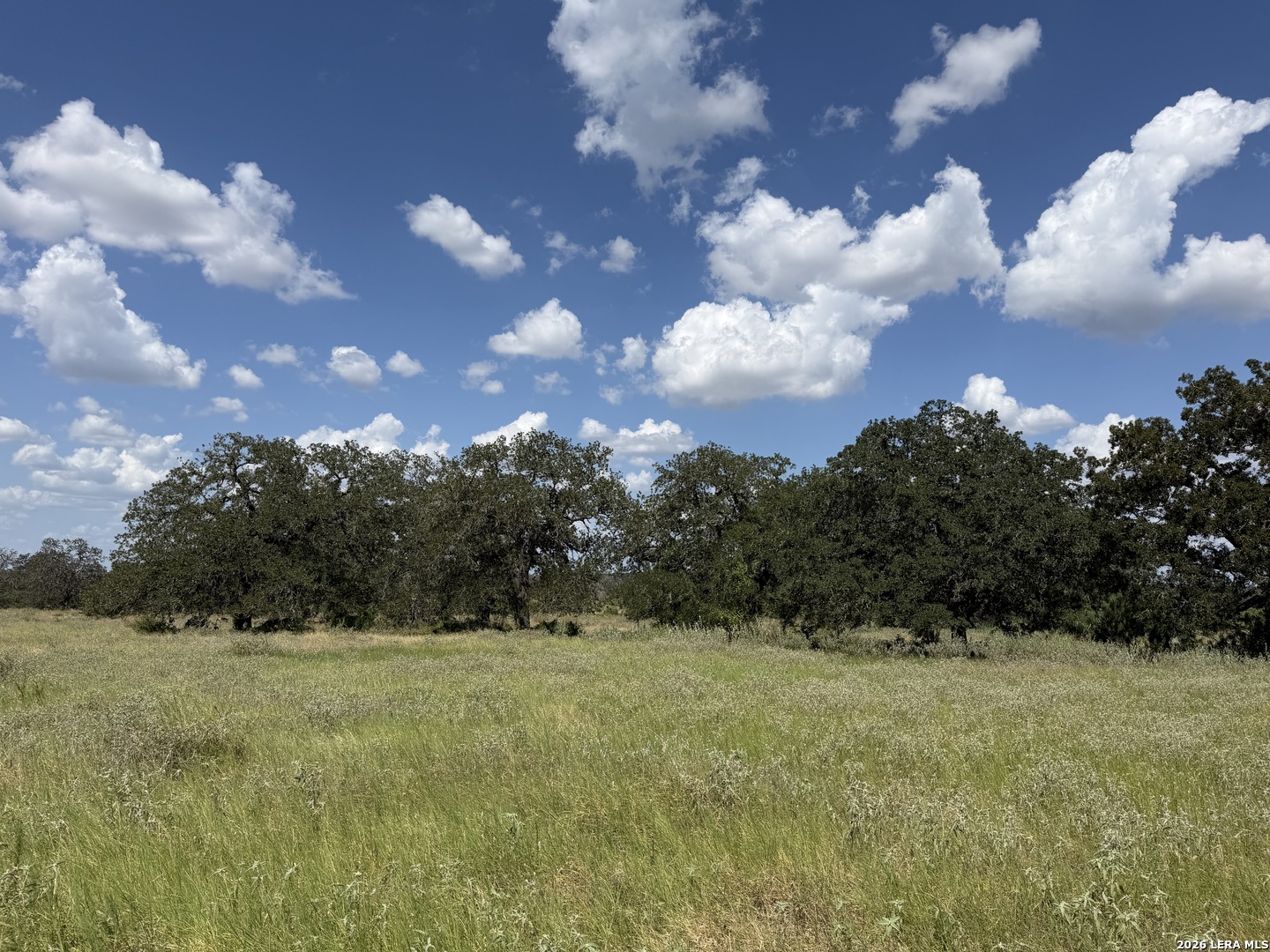 property viewer photo 1