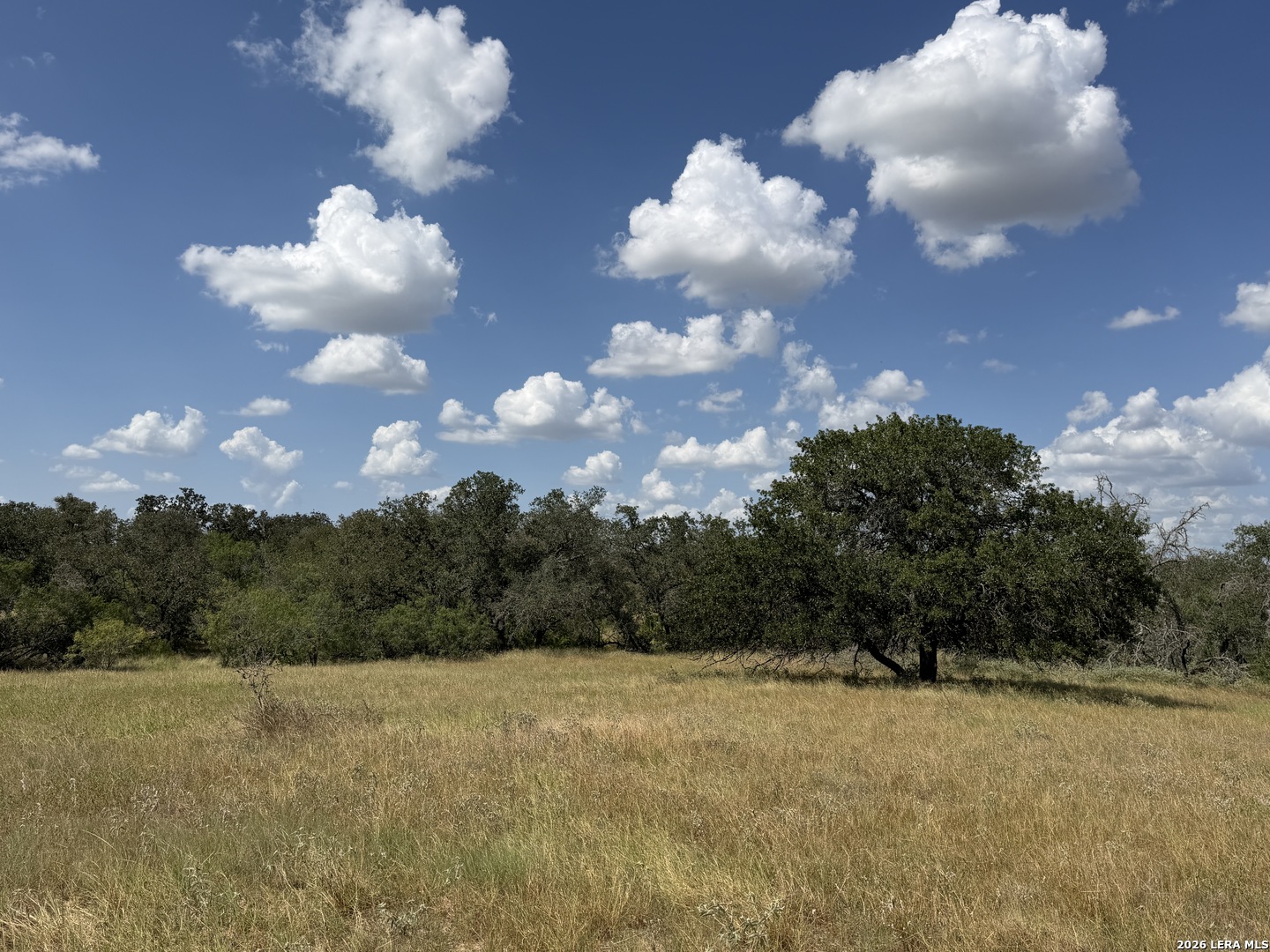 property viewer photo 12