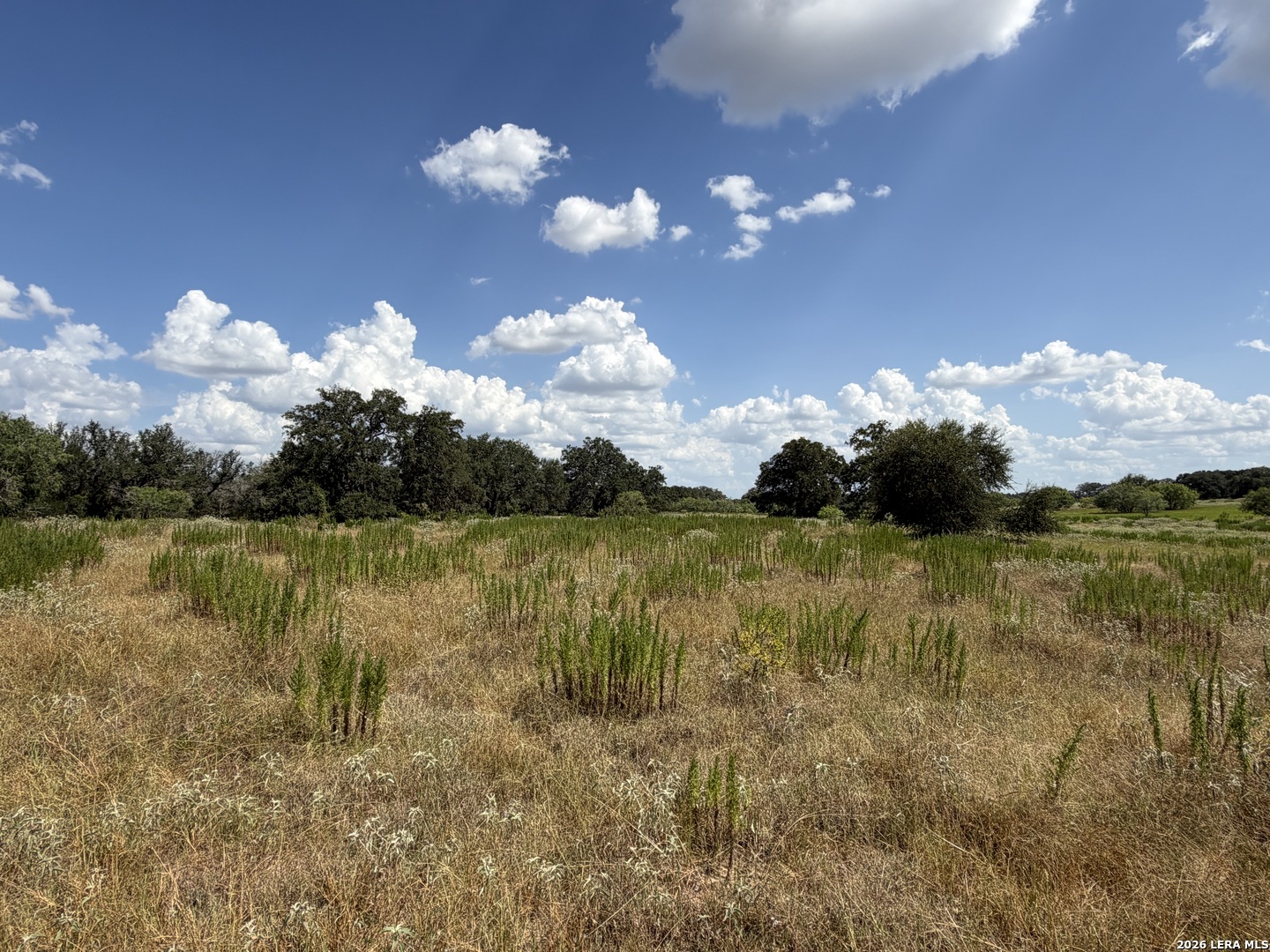 property viewer photo 14