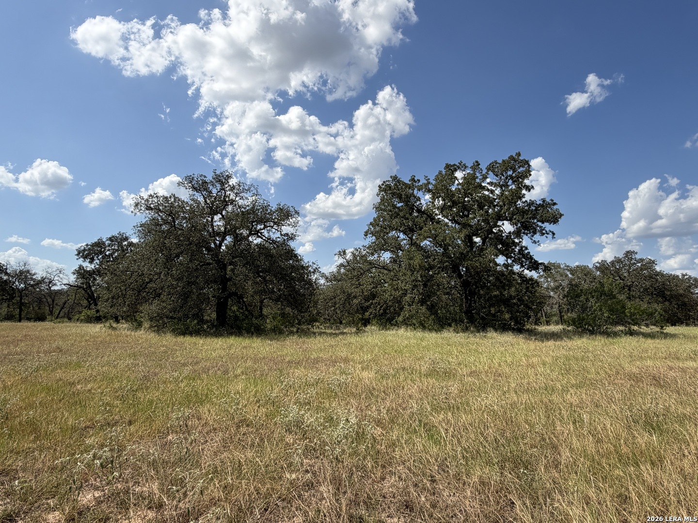 property viewer photo 15