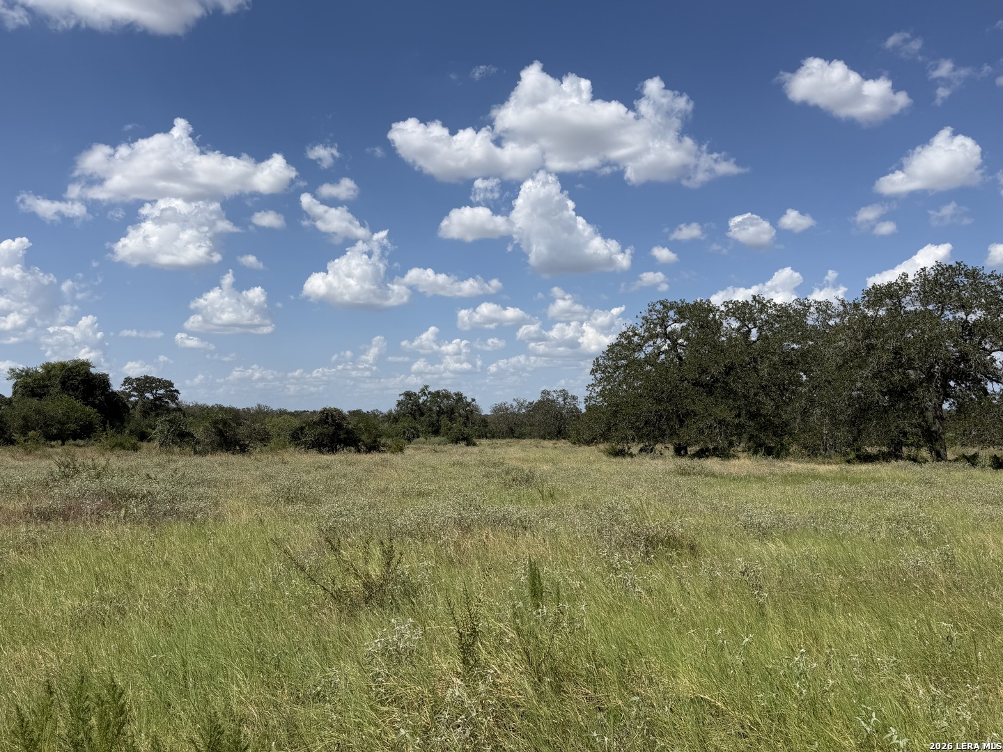 property viewer photo 4
