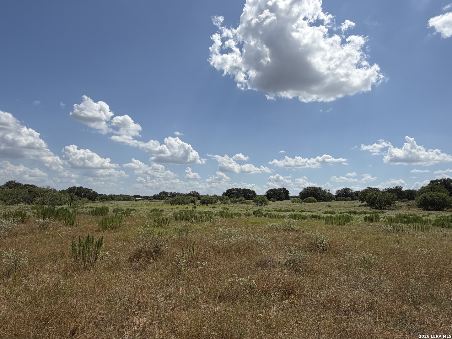 property viewer photo 5
