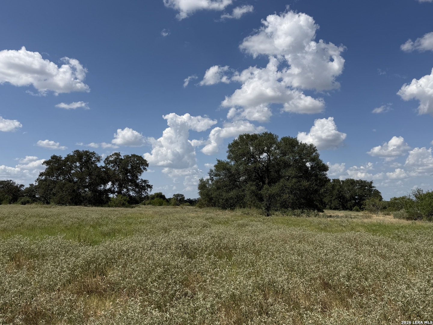 property viewer photo 6