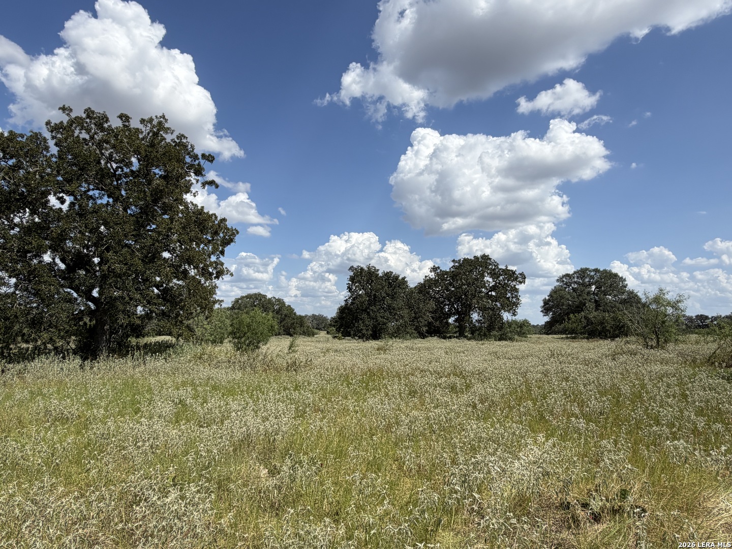 property viewer photo 7